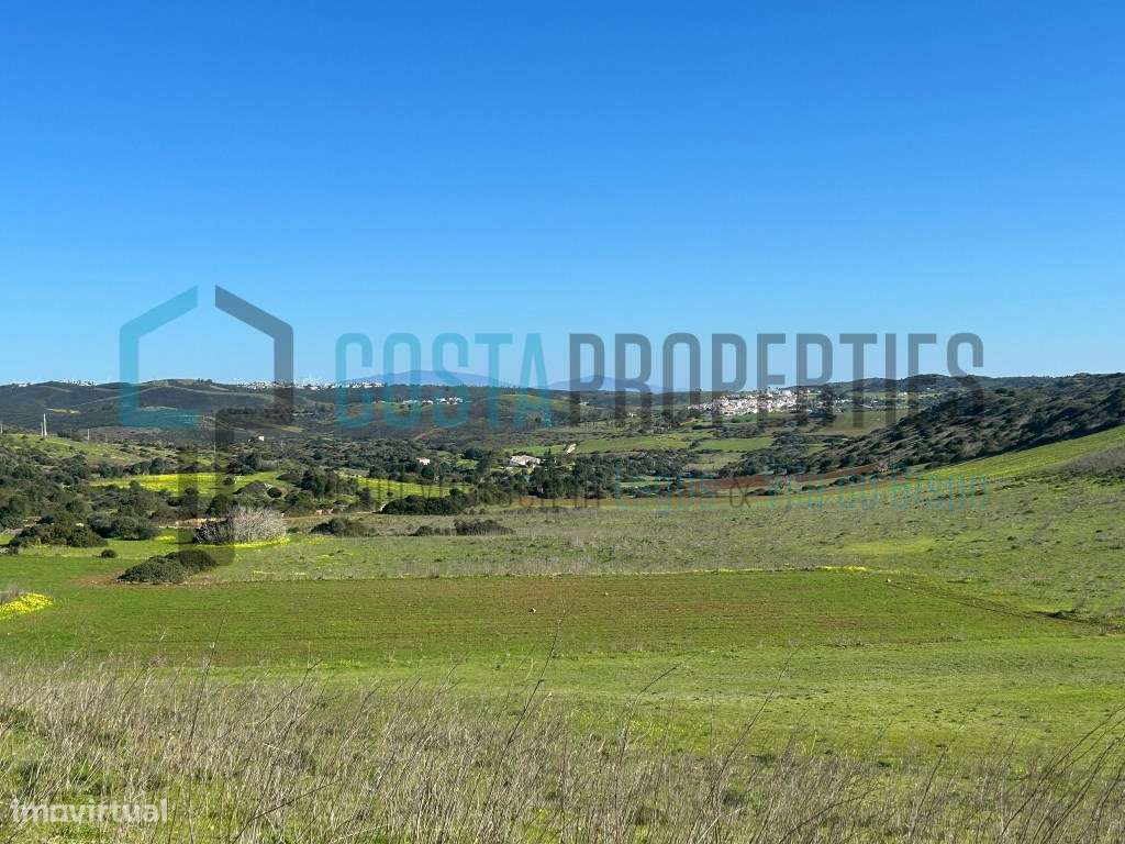 Terreno Isolado nas Hortas do Tabual - Grande imagem: 2/16