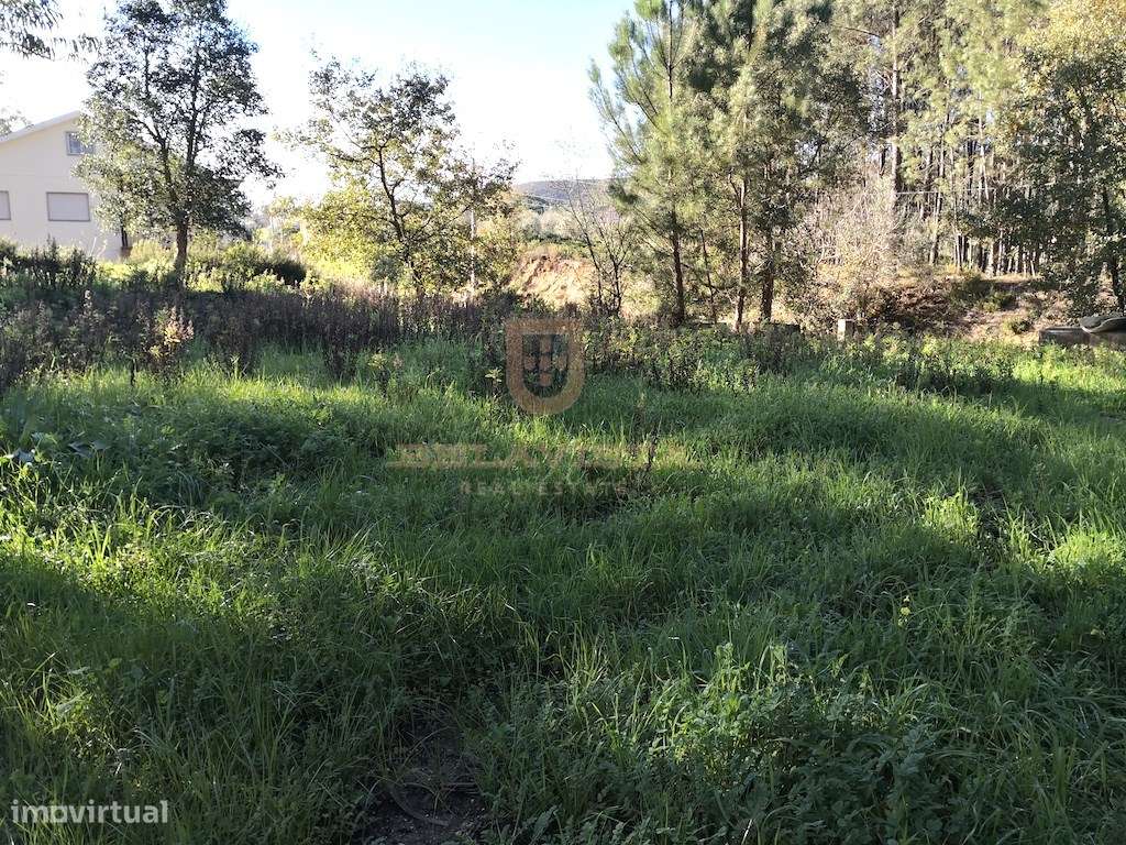 Oportunidade terreno para construir - Gondemaria - Grande imagem: 5/5