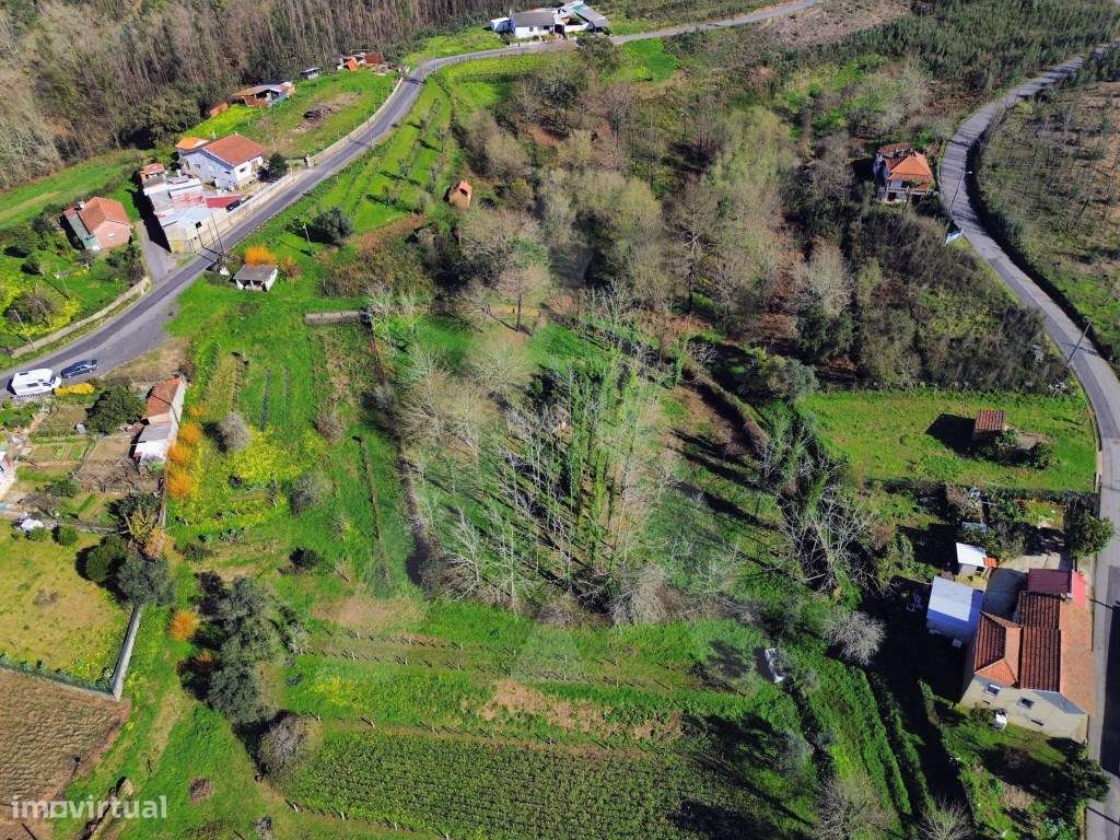 Terreno em Jafafe - Macinhata do Vouga-0