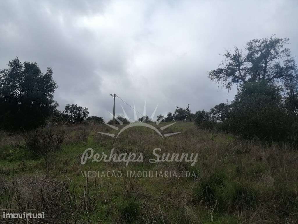 Quinta em Relíquias - Odemira-21