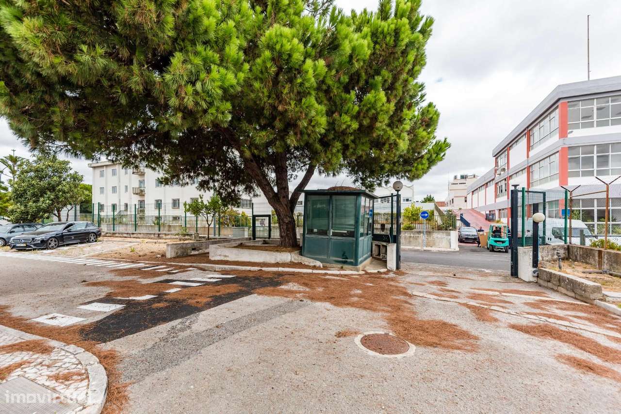 Armazém com 3 Pisos e Grande Lote de Terreno em Carnaxide-12