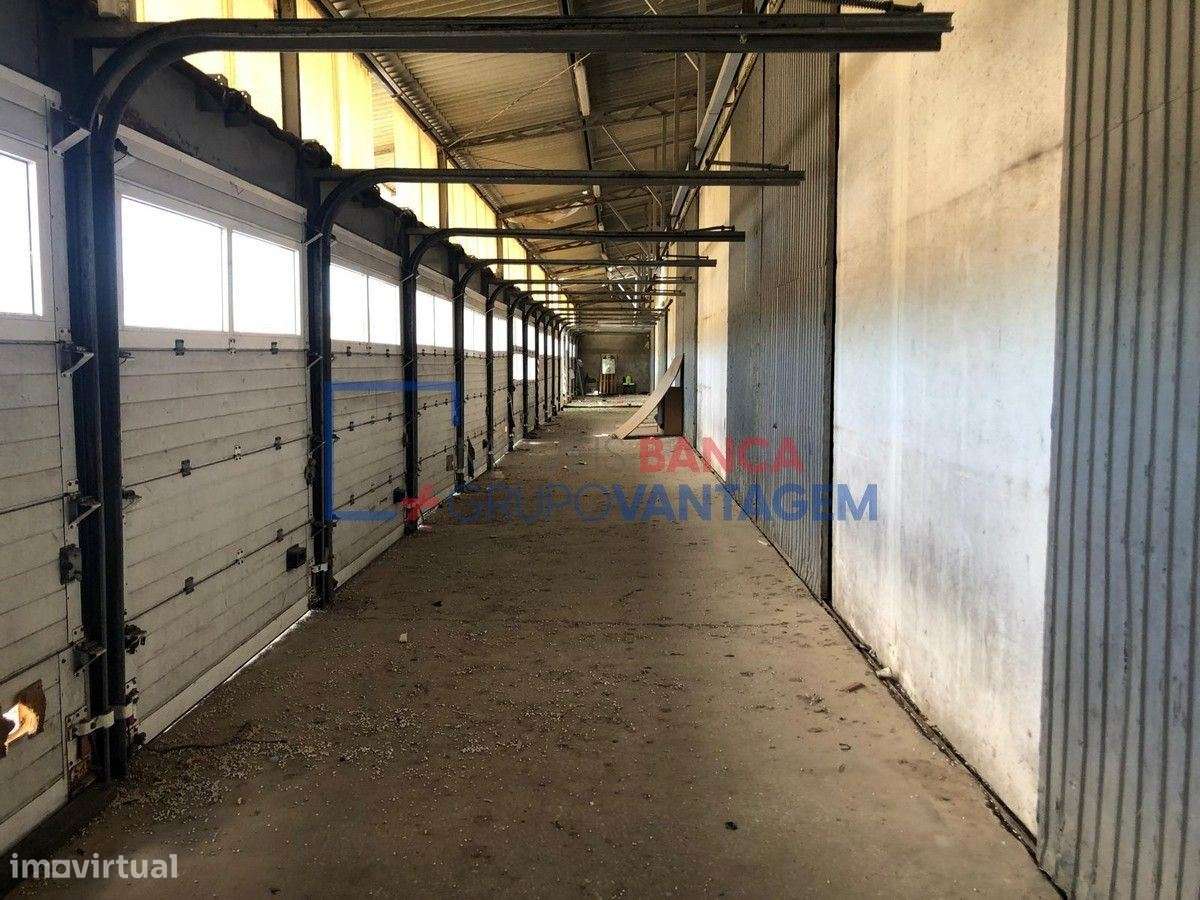 ARMAZÉM SINTRA - Grande imagem: 4/16