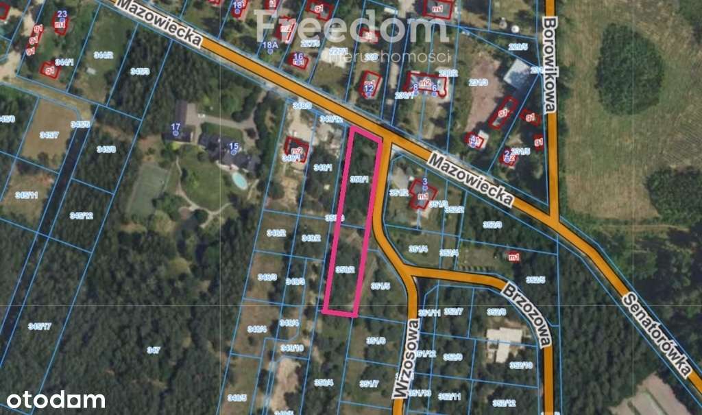 Budy Zaklasztorne-2 działki 2232 m2 - pakiet - Pełny obrazek: 5/5