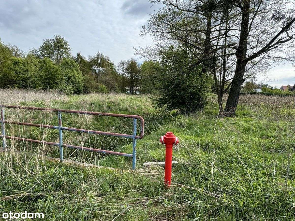 działka 8500m2 Długołęka-10