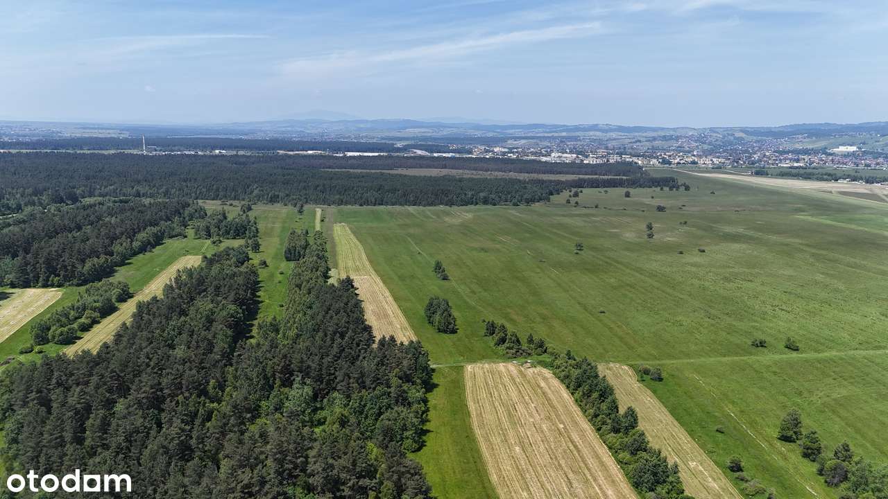 Wyjątkowa lokalizacja przy rezerwacie „Bór na Czerwonem” - Pełny obrazek: 3/3