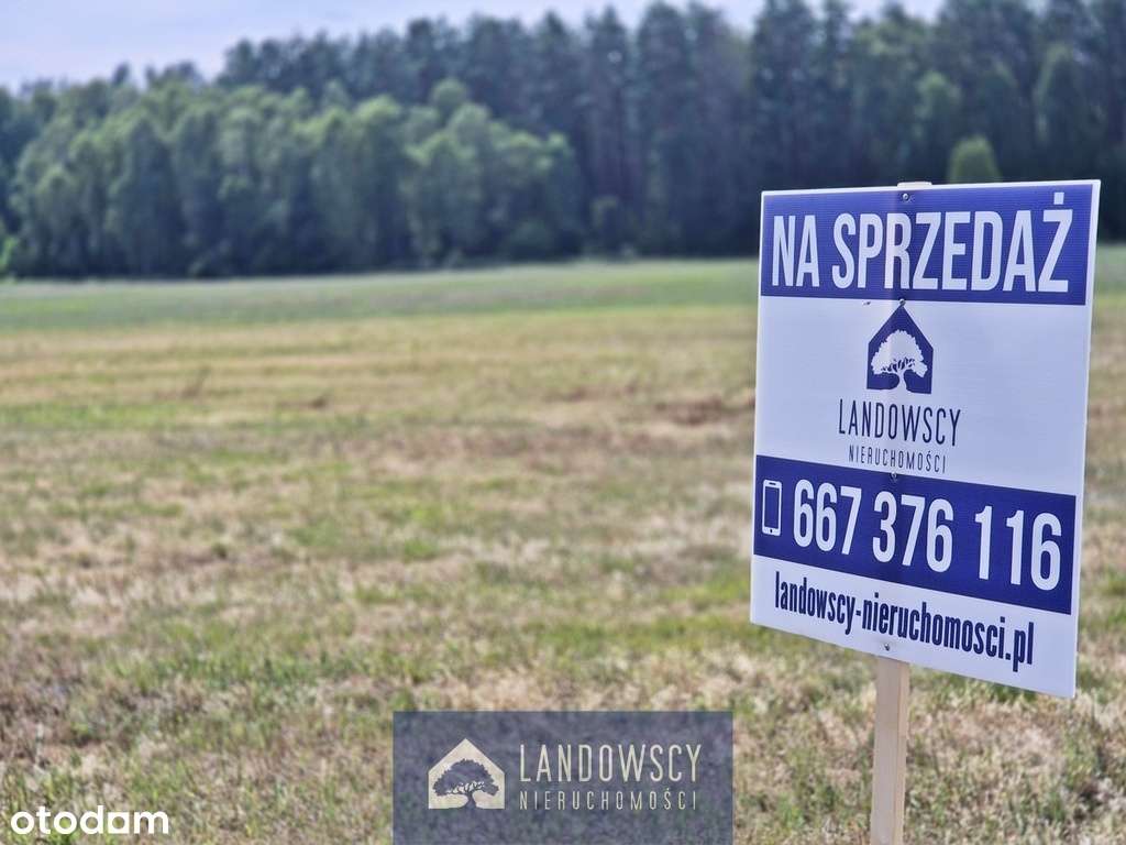 Rekreacyjne miejsce na Kociewiu z dala od gwaru - Pełny obrazek: 4/19