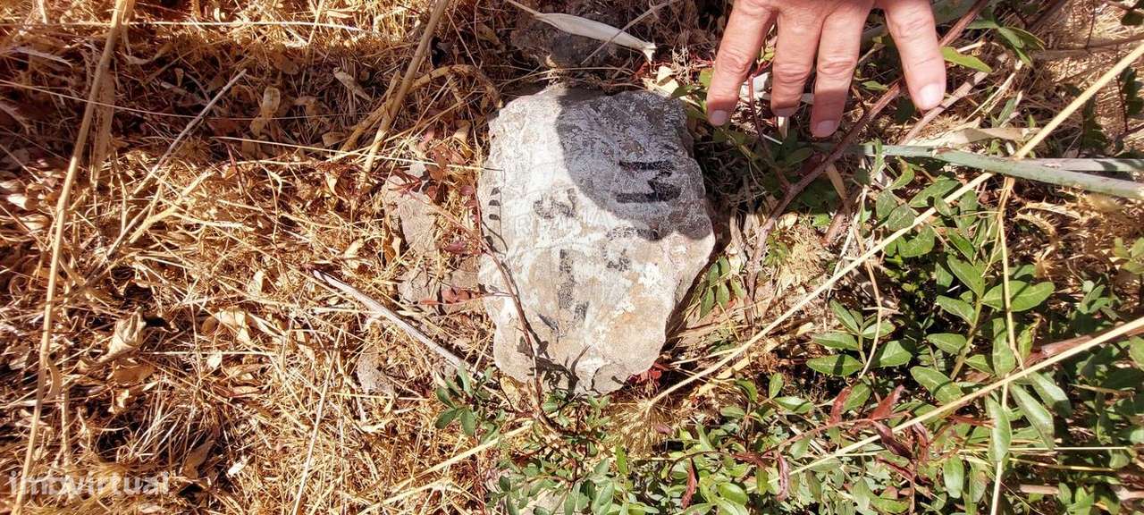 Terreno  para venda - Grande imagem: 5/6