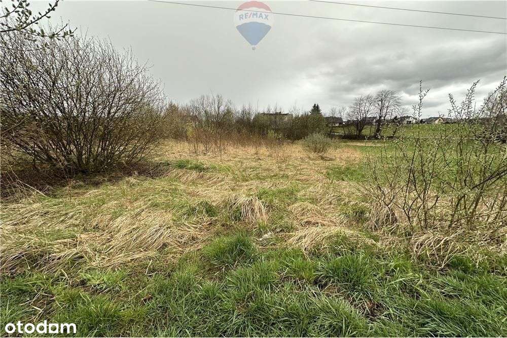 Działka w Mazańcowicach pod ogrodnictwo i uprawy - Pełny obrazek: 4/20