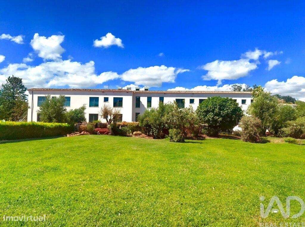 Terreno em Santa Catarina da Fonte do Bispo - Grande imagem: 5/19