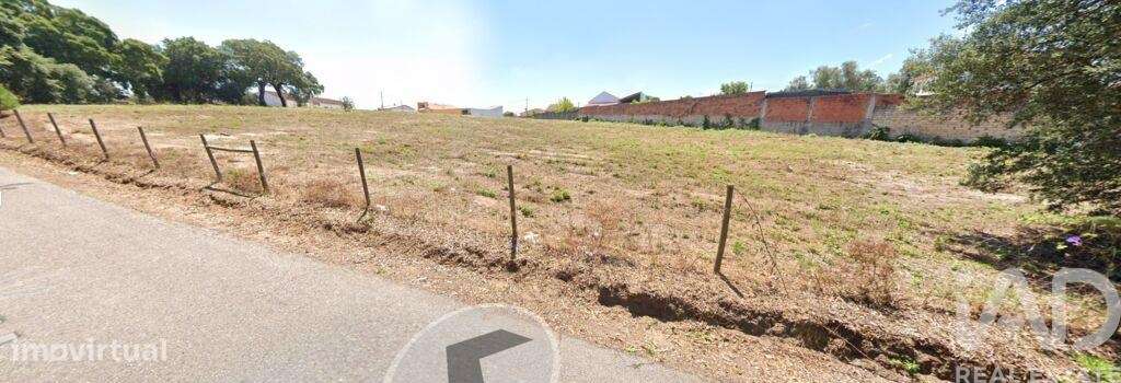 Terreno em Rio Maior de 4314,00 m2 - Grande imagem: 3/19