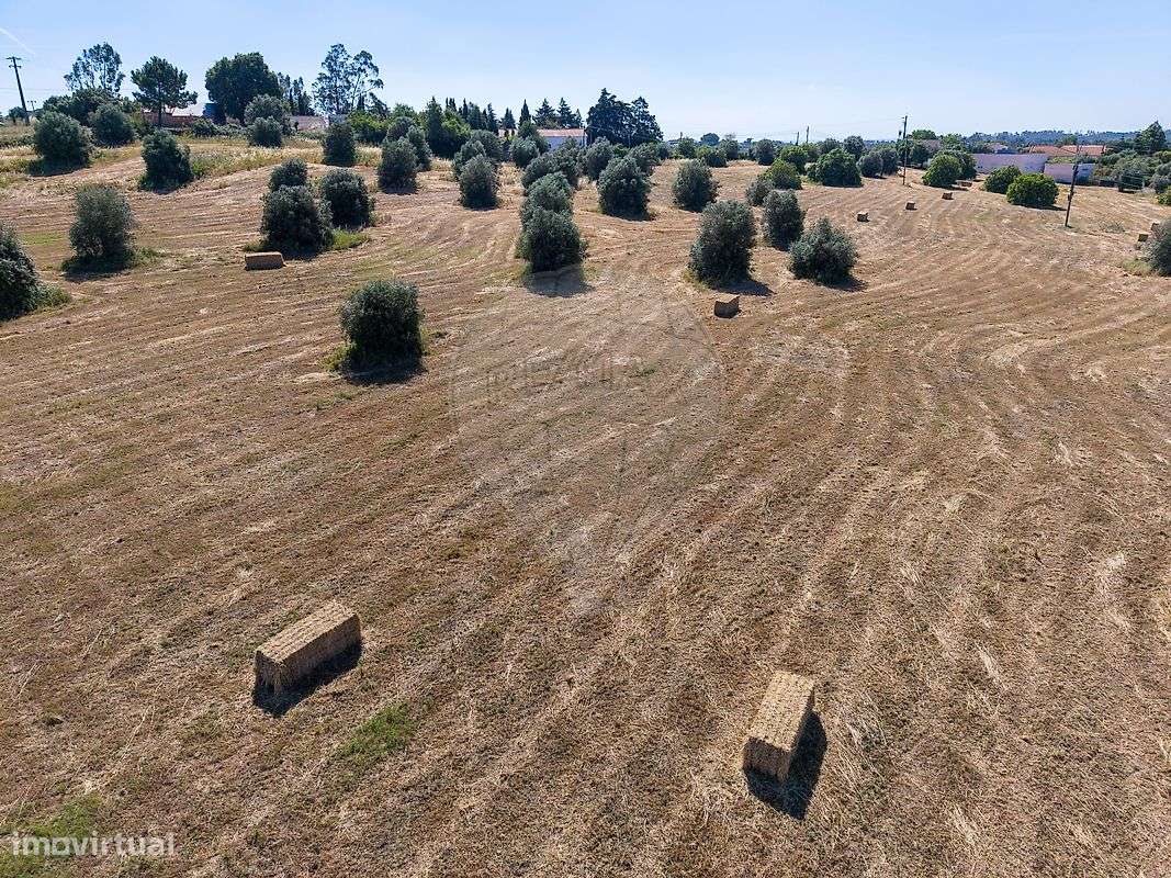 Terreno  para venda-8