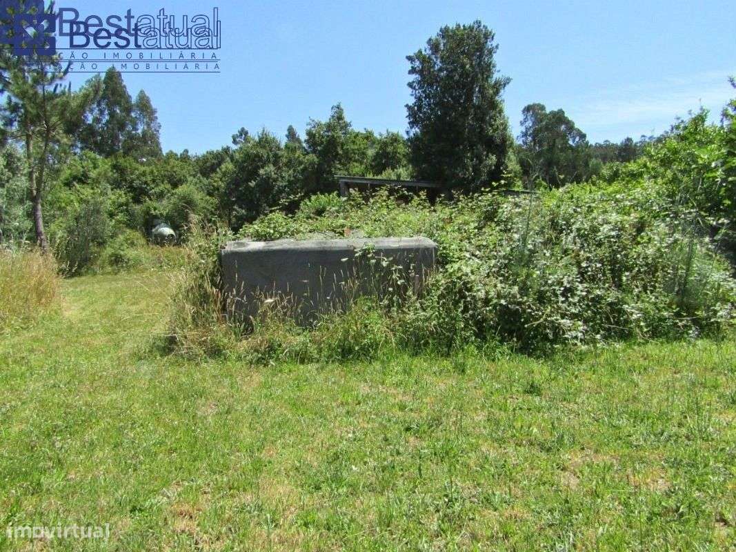 Terreno 4000 m2-c/1500 m2 de área p/construção Moradias-A 3 Min. do-25