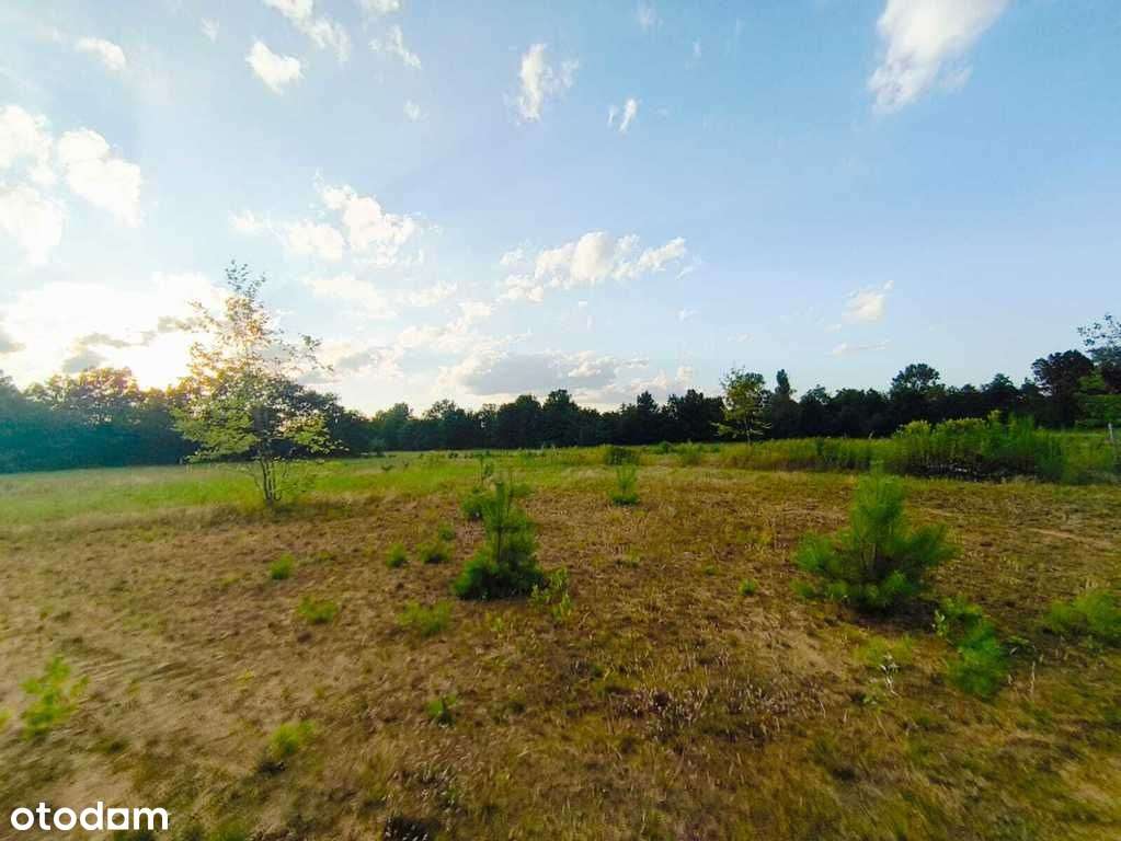 Działki budowlane/6,8,11 ar+las/blisko lasu-rzeki. - Pełny obrazek: 4/6