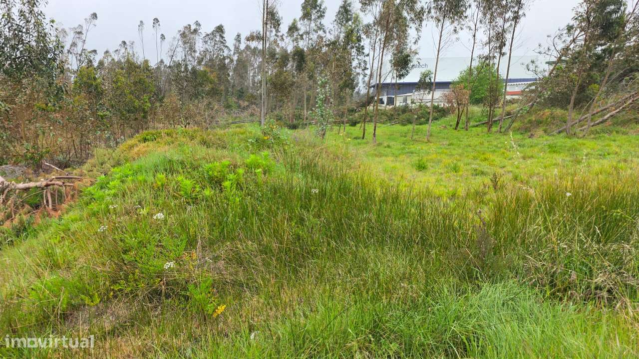 Terreno rústico de 7600m² de área, em Moita Marinha Grande-4