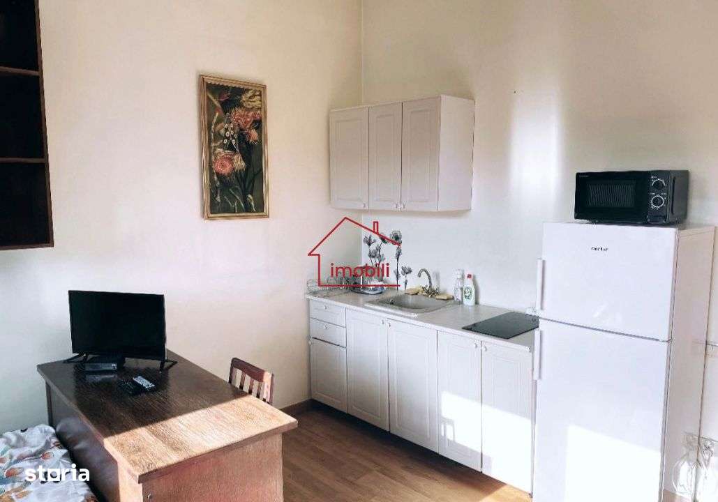 Apartament 3 camere-Vila | Ultracentral |  Zona Strazii Paris-5