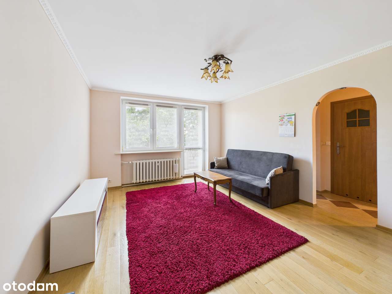 ul. Proletariacka - 49 m2, 2 pokojowe w świetnym miejscu! - Pełny obrazek: 3/20