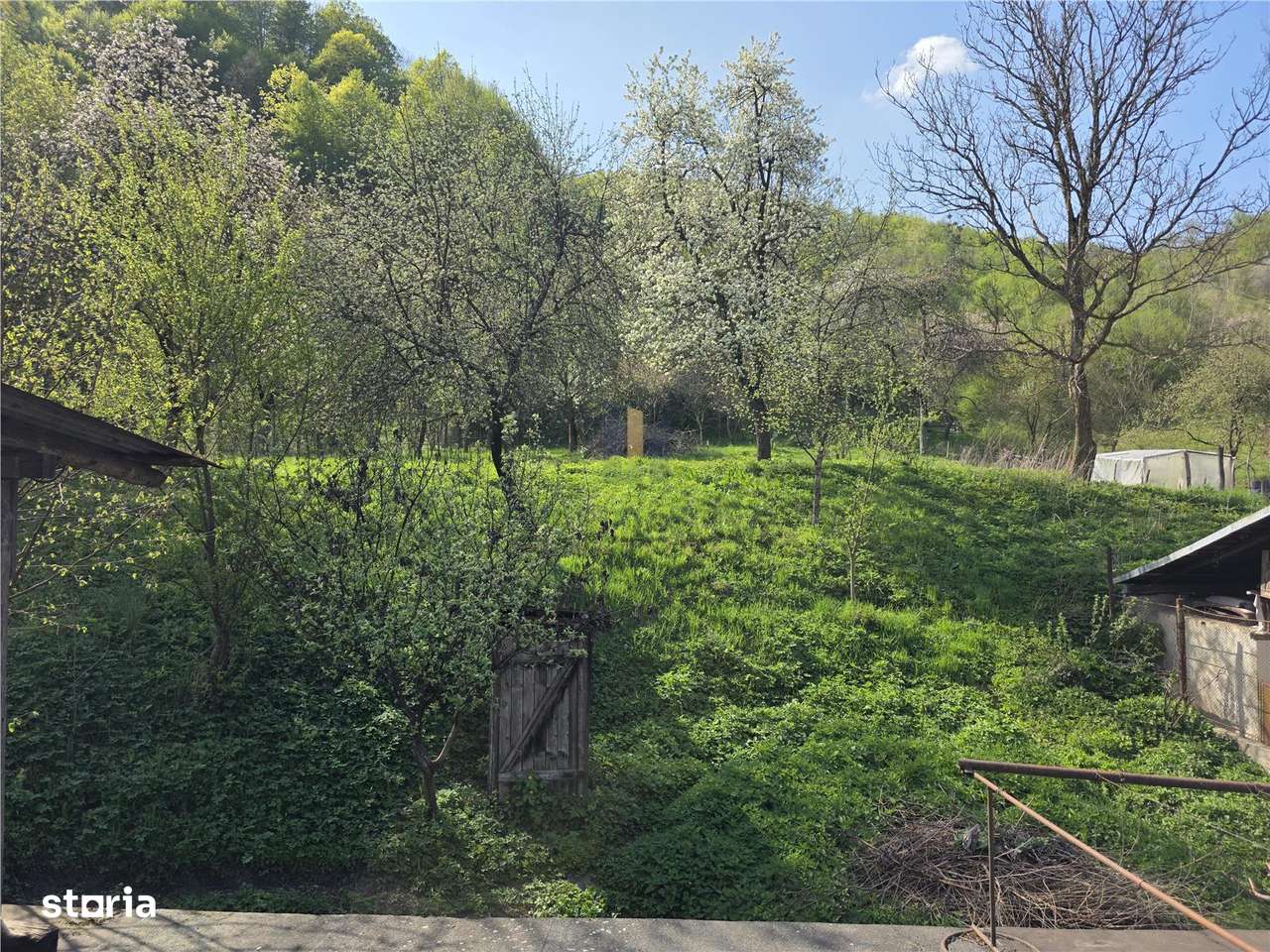 Casa cu teren generos in zona turistica Nadrag Timis-13