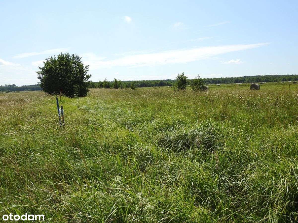 Łeba 3 km. - Pełny obrazek: 5/9