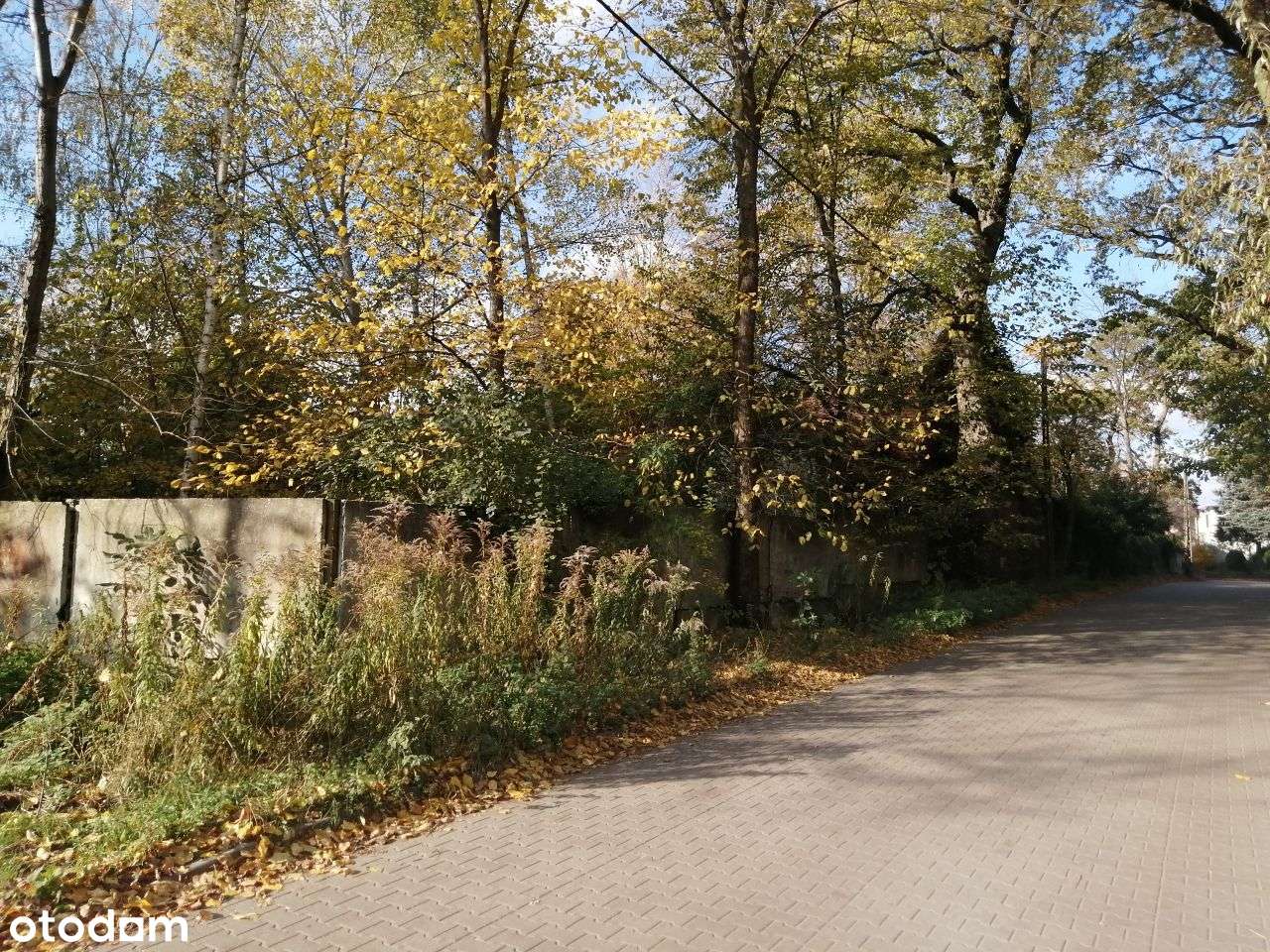 Puszczykowo, przy Warcie-3