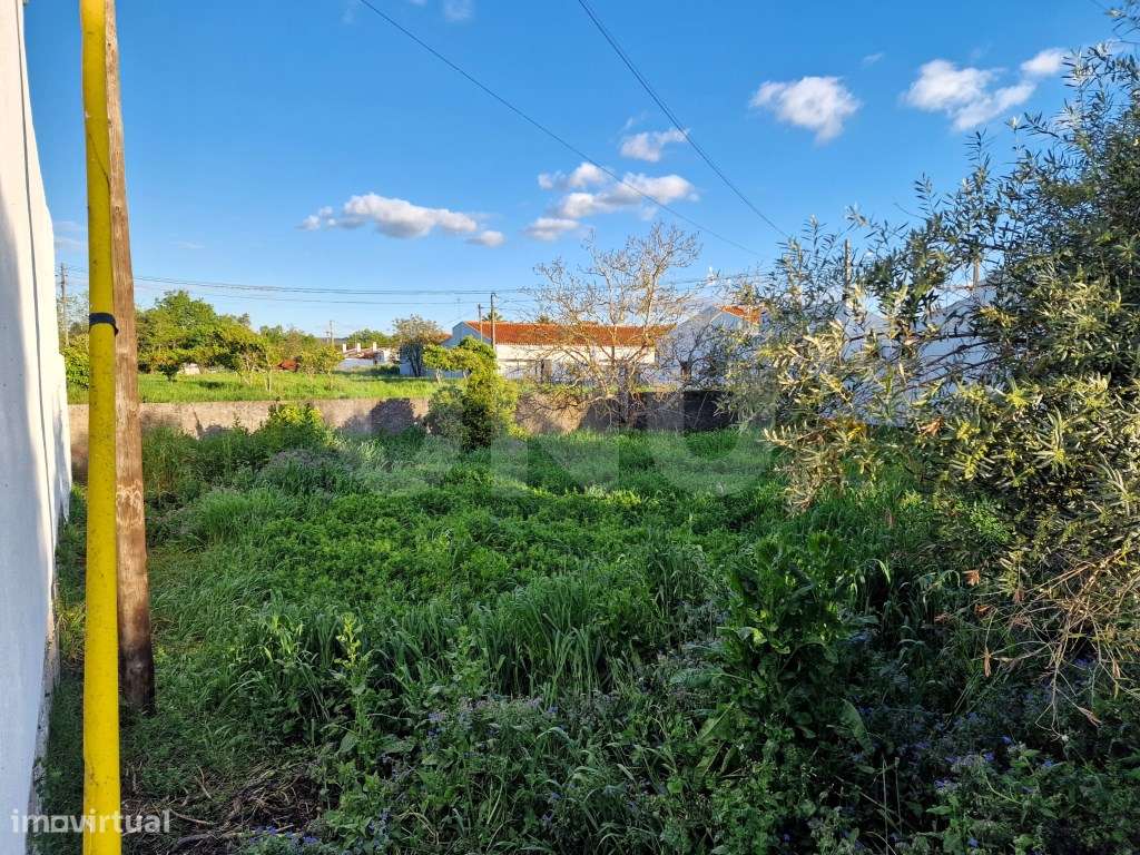 Terreno para Construção em Vila Nova da Baronia - Grande imagem: 5/19