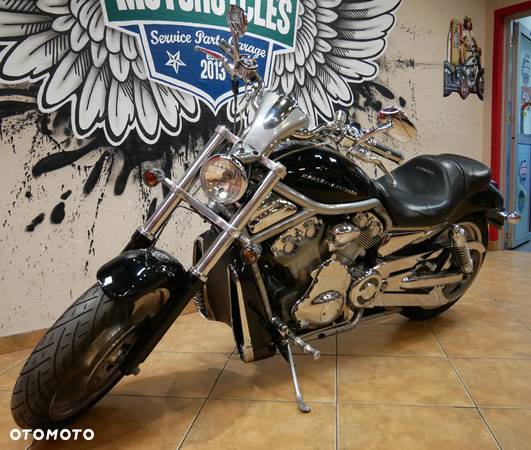 Harley-Davidson Softail V-Rod - 10