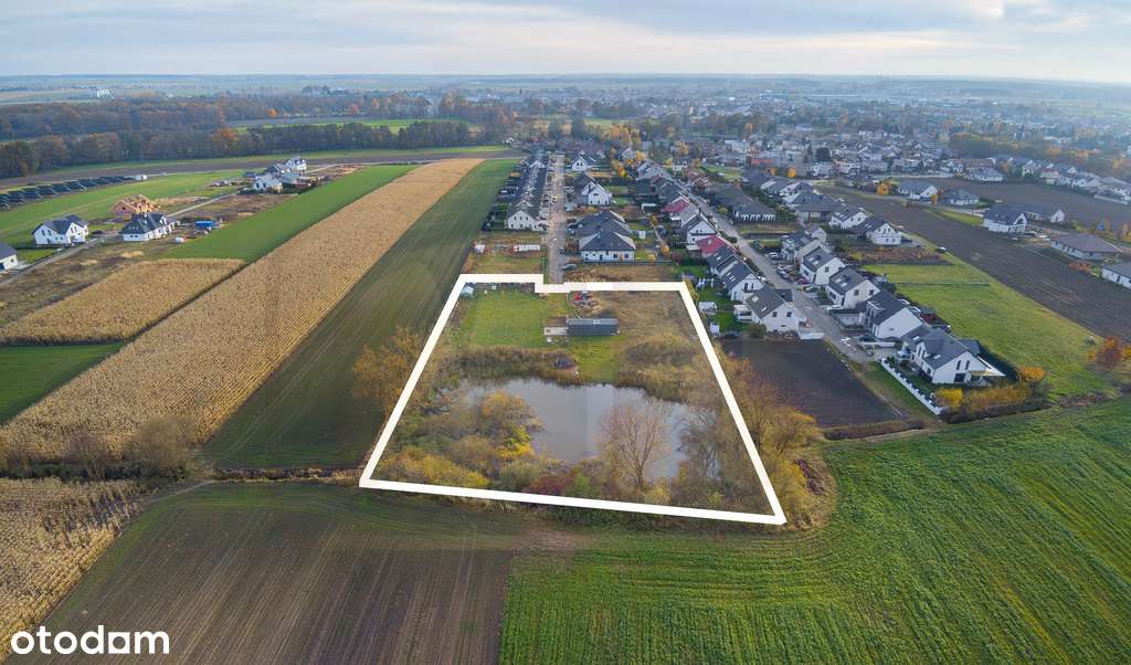 Atrakcyjna działka z własnym stawem, Dąbcze-4