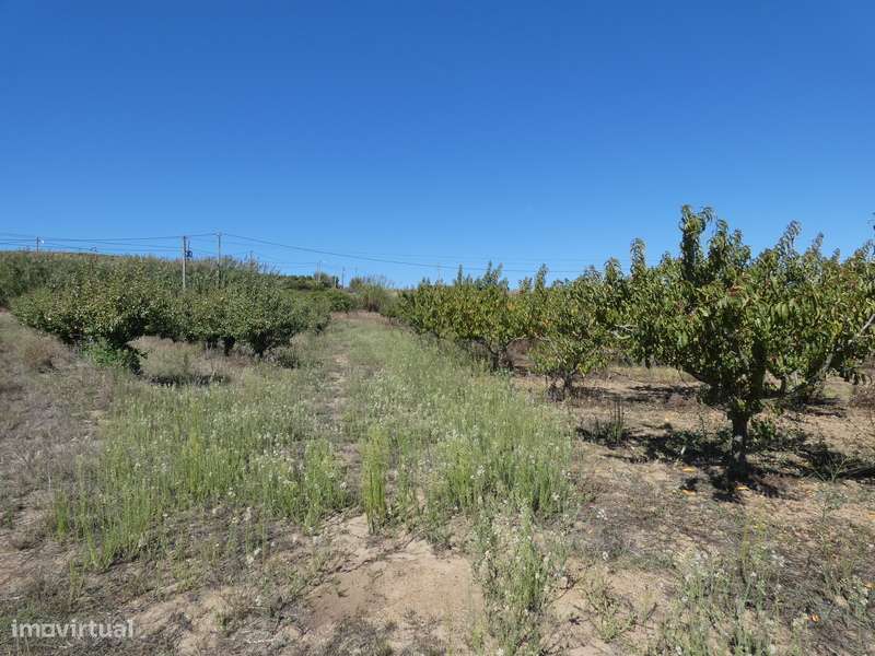 Lote de Terreno c/Projeto Aprovado para moradia Isolada junto a praia! - Grande imagem: 4/24