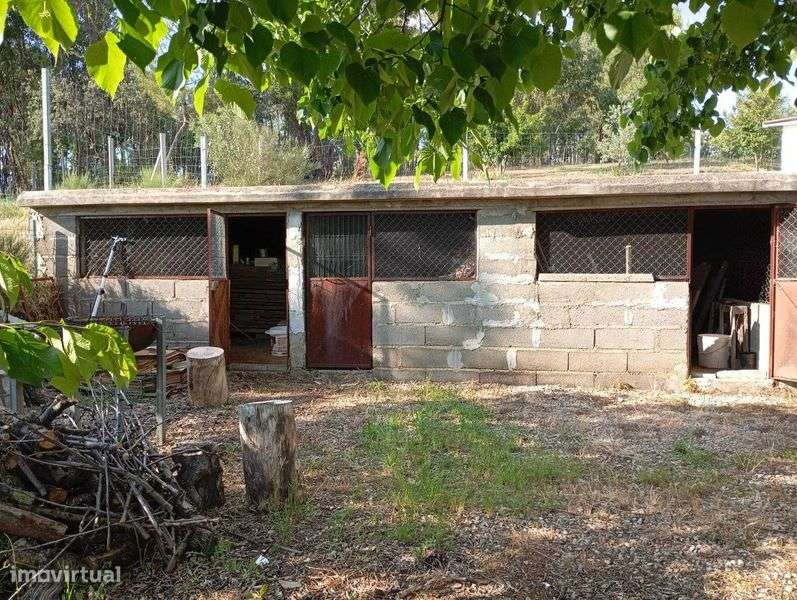 Quinta dos Bons Dias - Grande imagem: 5/12