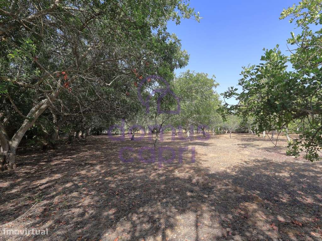 Moradia T2 + 2 para renovar em Arroio - Luz de Tavira-6