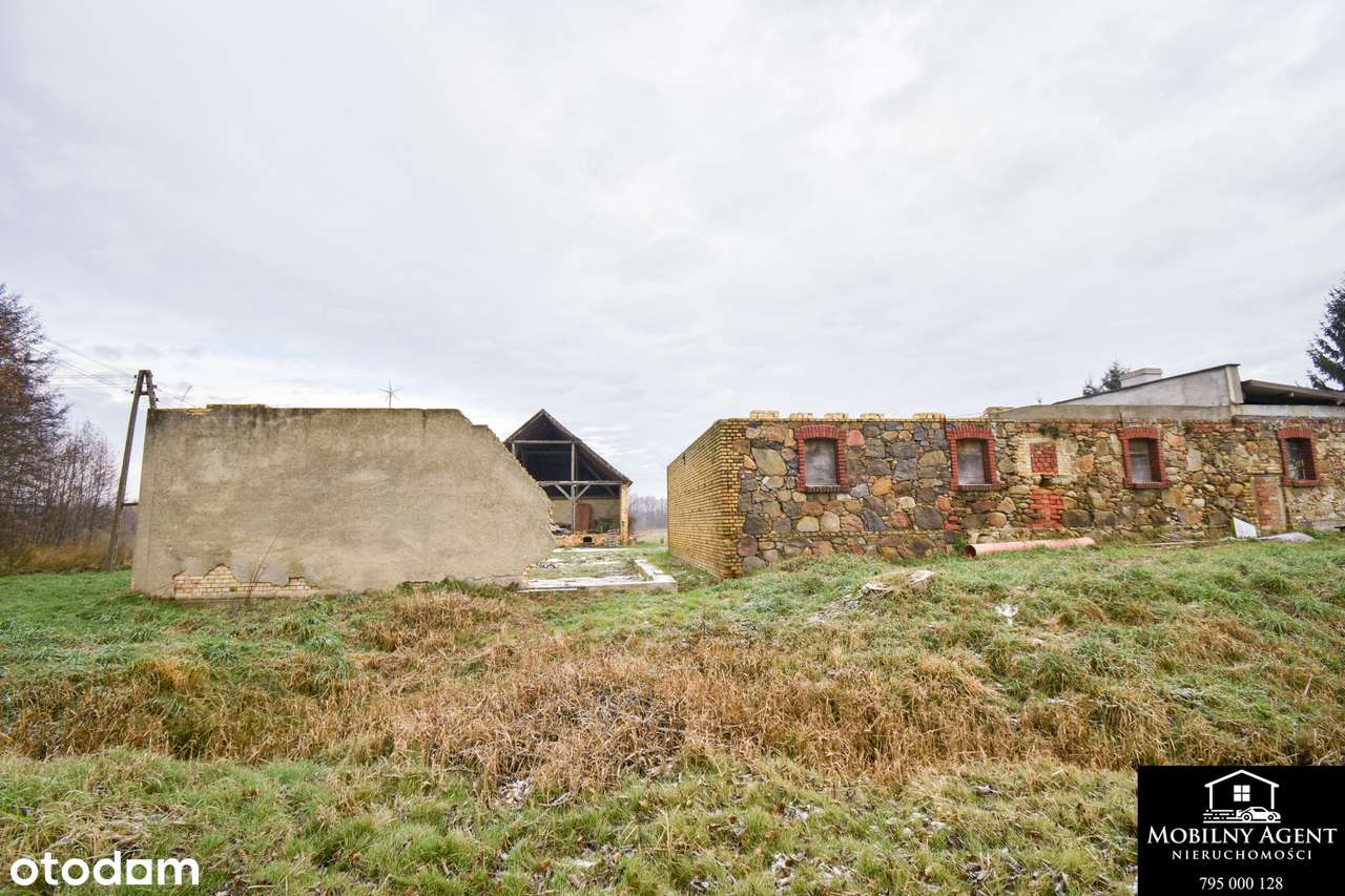 Dom do remontu Sieniawa Żarska-9