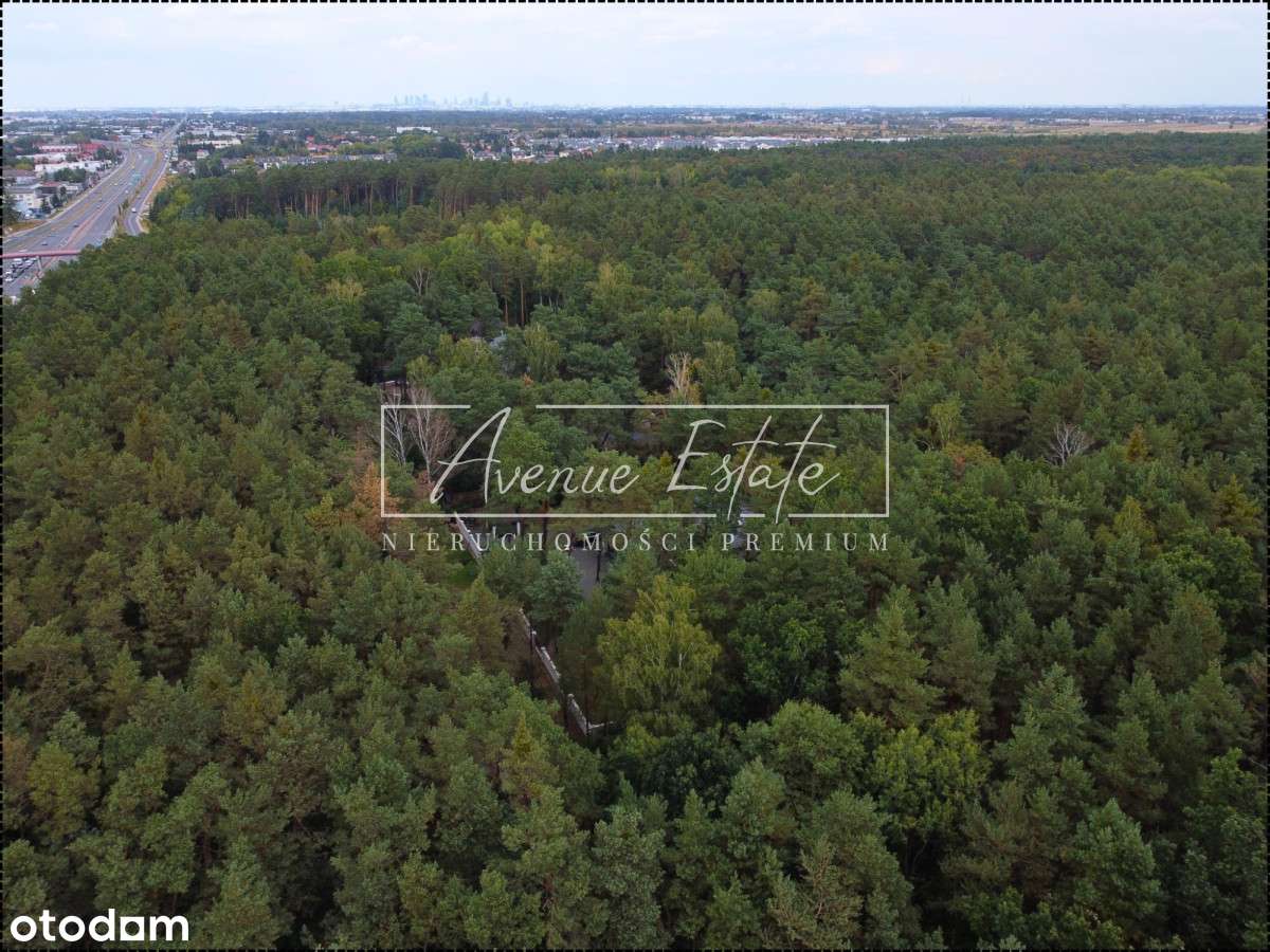 Magdalenka / Działka pod rezydencję - Pełny obrazek: 4/4