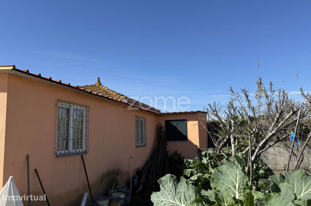 Moradia com terreno e anexos-16