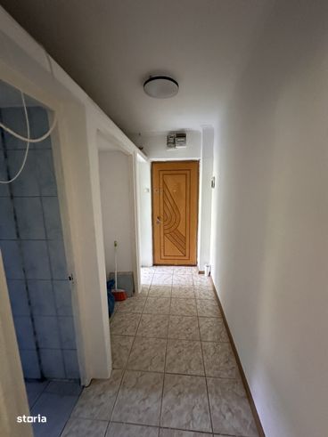 Apartament 2 Camere Banat Parter Cu Centrala-0