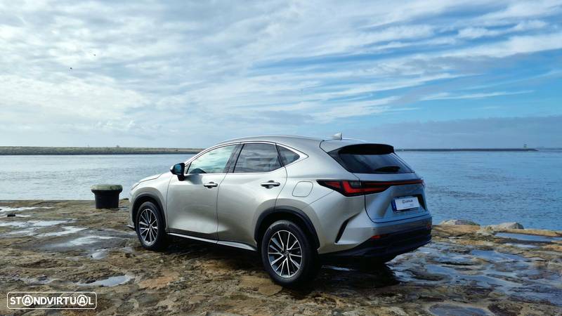 Lexus NX 450h+ - 6