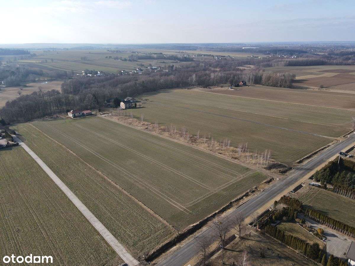 Działka budowlana, 22 ary - Bychawka Trzecia - Pełny obrazek: 4/5