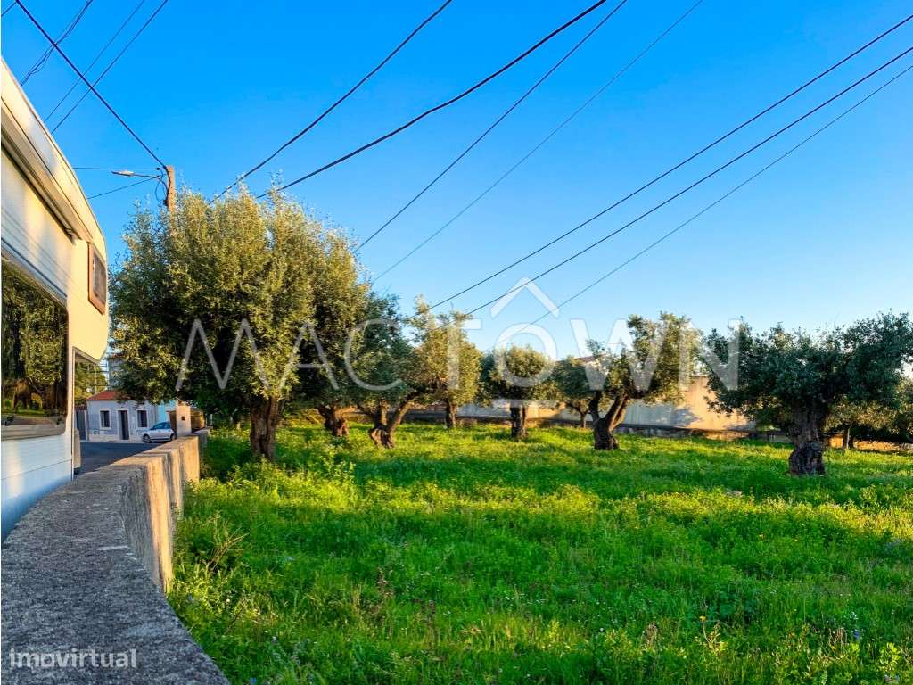 Imóvel Estratégico em Alcanena para Projeto Empresarial ou Residencial - Grande imagem: 5/25