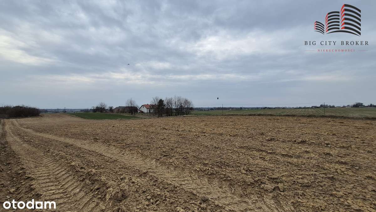 Działka zagrodowo blisko Milejowa - Pełny obrazek: 4/5