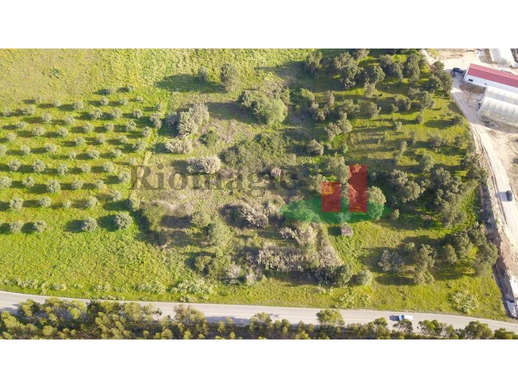 Terreno Rústico em Rio Maior - Grande imagem: 3/14
