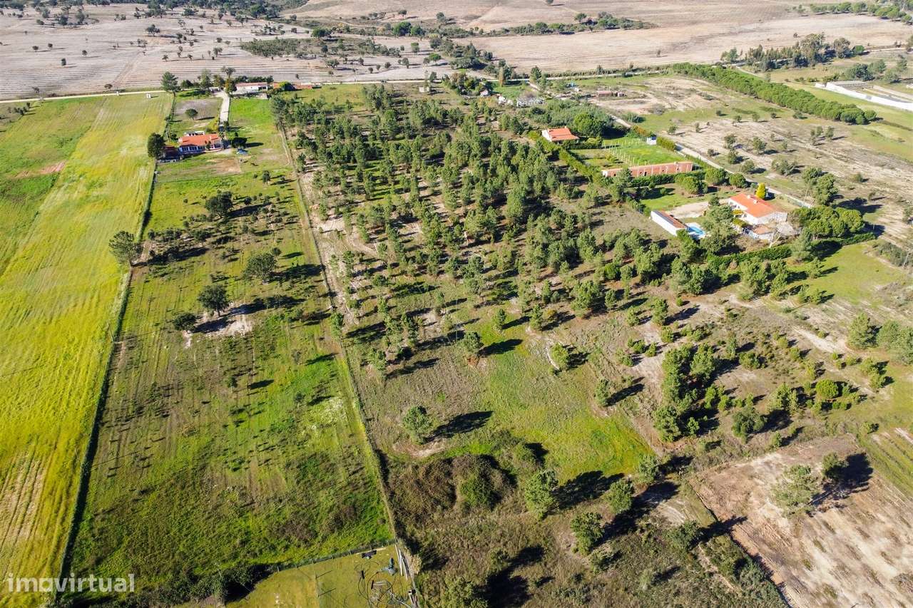 Terreno  Venda em Benavente,Benavente - Grande imagem: 5/8