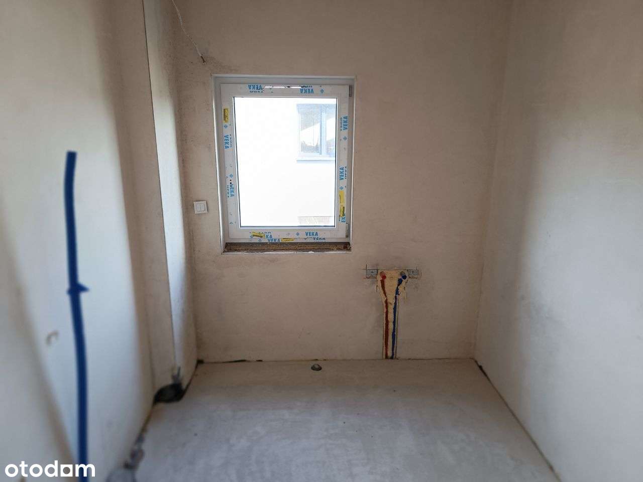 Błażejewko pod lasem, urządzony ogród, w.standard-12