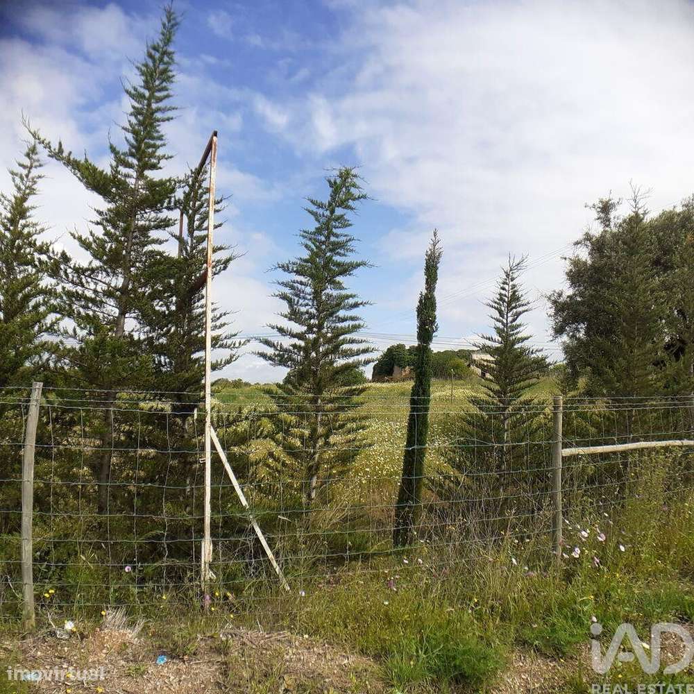 Terreno para construção em Tavira (Santa Maria e Santiago) de 31269,00 - Grande imagem: 5/8