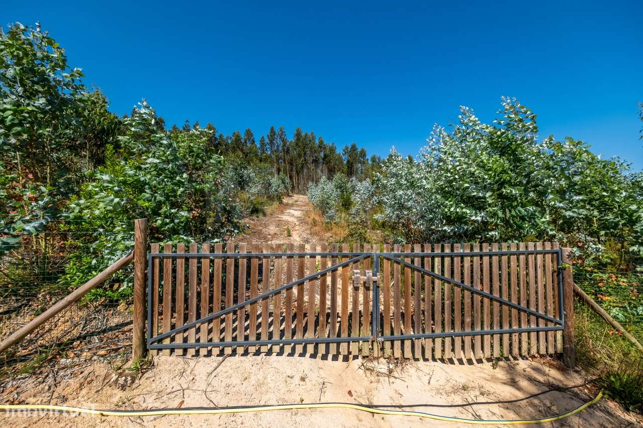 Terreno Agrícola na Fanadia | 16.100 m² de Potencial e Infraestrutu...-25