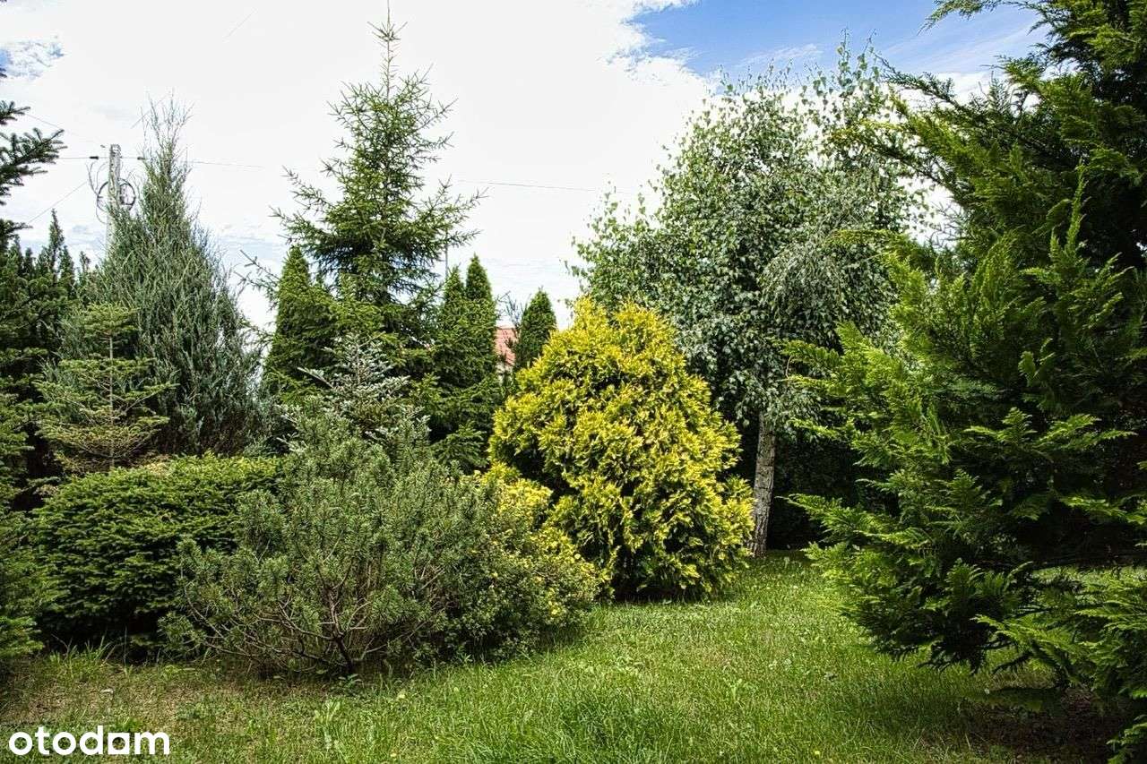 Dom Wolnostojący ok.87m2.Piękny Rejon - Pełny obrazek: 5/12