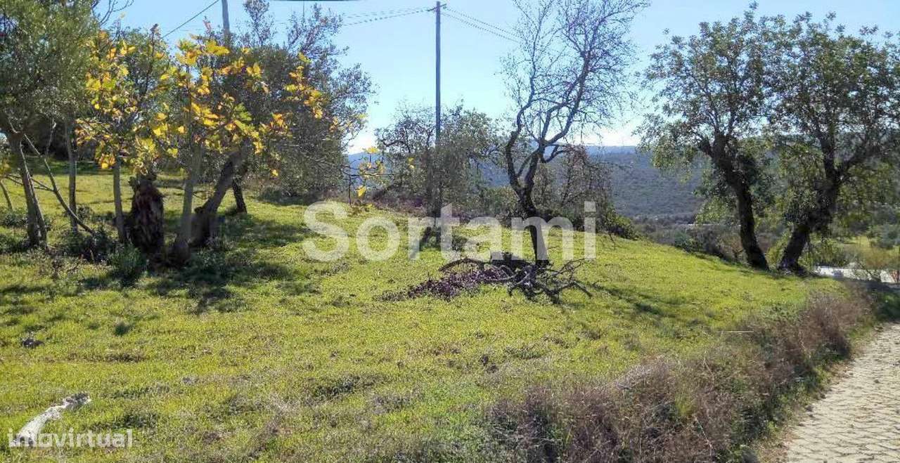 Terreno Rústico  Venda em São Brás de Alportel,São Brás de Alportel - Grande imagem: 4/5