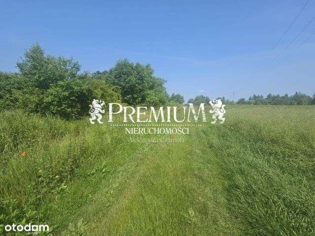 Działka budowlana w Turowie - Pełny obrazek: 5/5