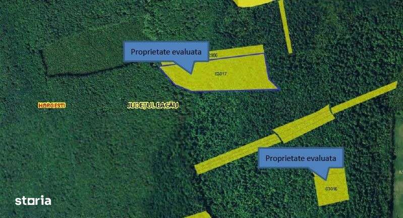 Teren padure, cota de 1/48 Horgesti, ID: R2325871 - Imagine principală: 4/11