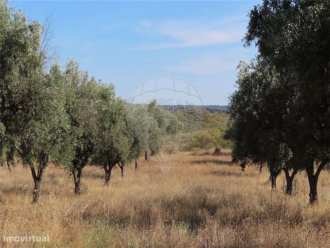 Quinta  para venda-40