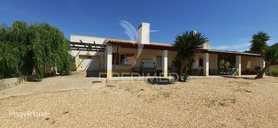 Quinta de 1,06 Ha com Moradia T4 em Santa Luzia – Ourique - Grande imagem: 5/40
