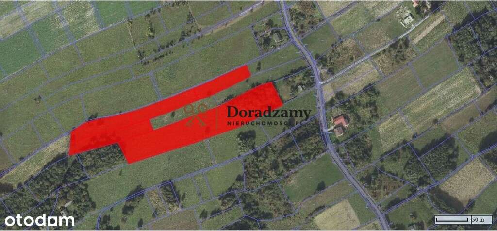 Kompleks działek rolnych i jednej działki budow. - Pełny obrazek: 5/5