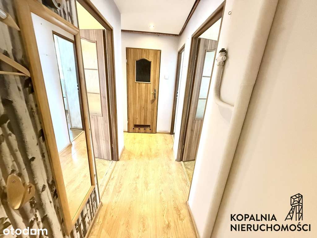 3 pokoje | 1 piętro |  balkon | blok po termo - Pełny obrazek: 4/7